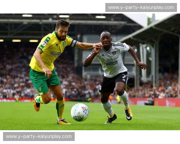 开云体育英冠资讯：全景解读英冠赛季风云